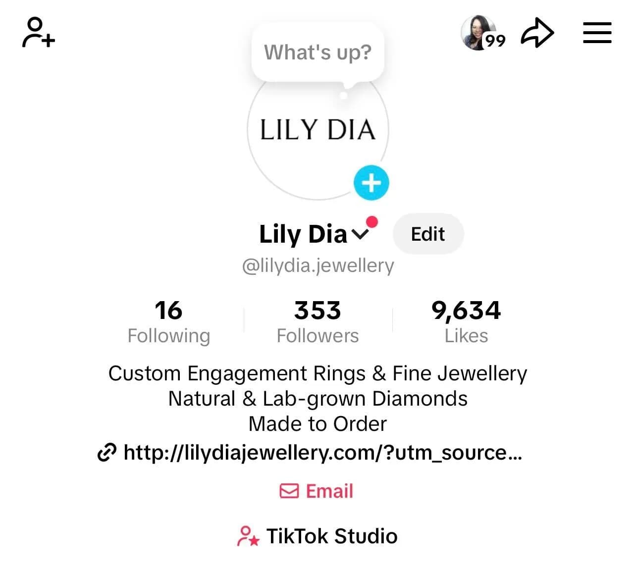 Lily Dia Jewellery TikTok profile bio showing a shorter jewellery business description, follower count, likes, and website link.
